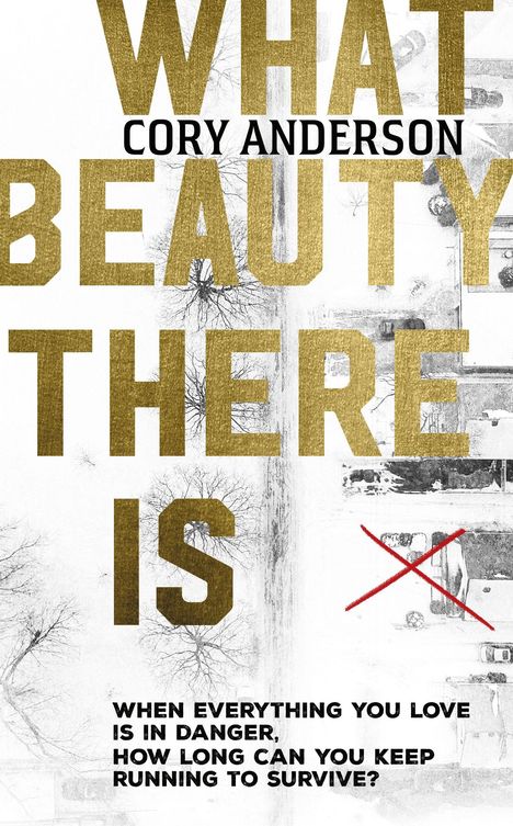 Cory Anderson: What Beauty There Is, Buch