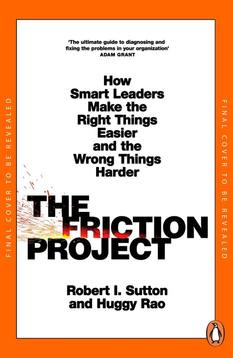 Huggy Rao: The Friction Project, Buch