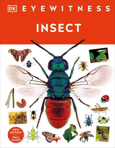 DK: Insect, Buch
