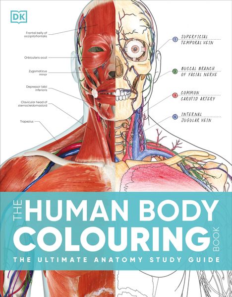 Dk: The Human Body Colouring Book, Buch