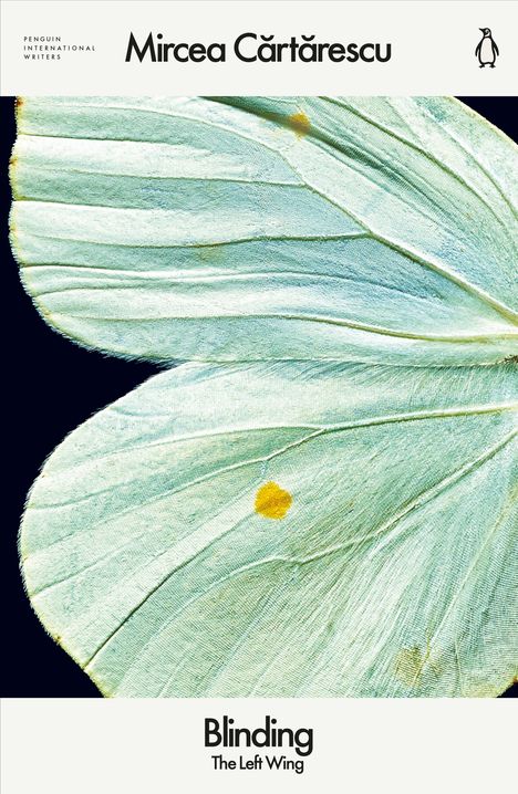 "Blinding The Left Wing" von Mircea Cărtărescu. Nahaufnahme eines Flügels mit gelbem Fleck.