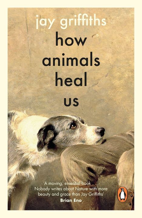 Text: "jay griffiths how animals heal us" und Zitat von Brian Eno. Illustration eines Hundes, der zu jemandem aufsieht.