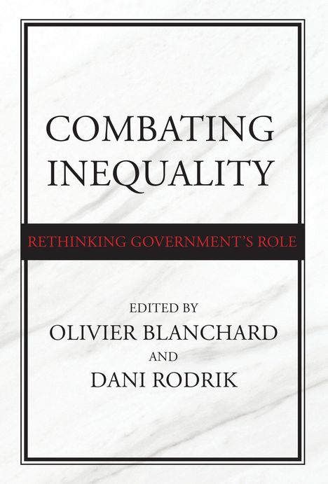 Combating Inequality: Rethinking Government's Role, Buch