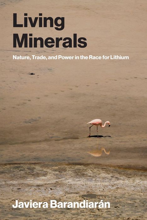 "Living Minerals. Nature, Trade, and Power in the Race for Lithium. Javiera Barandiarán." Ein Flamingo steht im flachen Wasser.