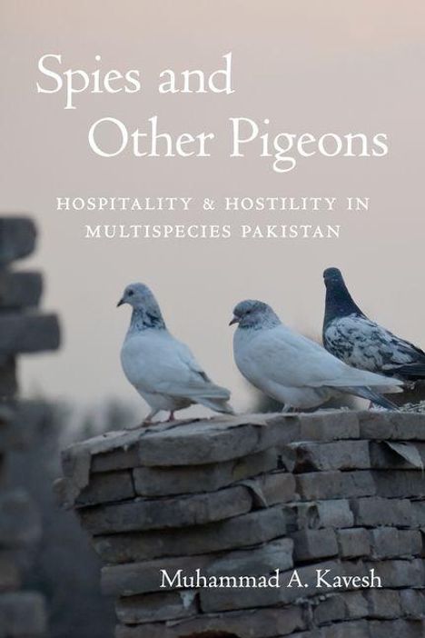 "Spies and Other Pigeons: Hospitality & Hostility in Multispecies Pakistan" von Muhammad A. Kavesh. Drei Tauben auf Steinmauer.