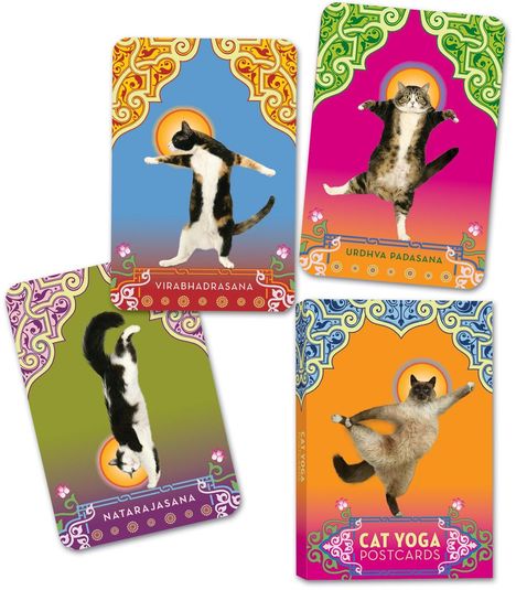 Rick Tillotson: Cat Yoga Postcards, Diverse