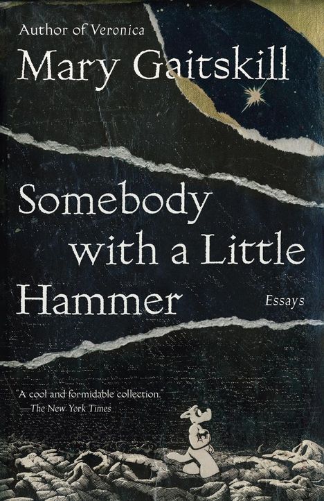 Mary Gaitskill: Somebody with a Little Hammer, Buch