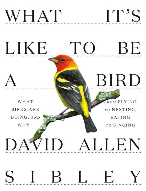 David Allen Sibley: What It's Like to Be a Bird, Buch