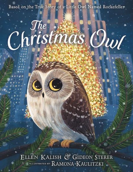 Gideon Sterer: The Christmas Owl, Buch