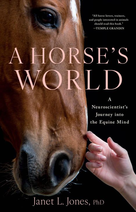 "A Horse's World" von Janet L. Jones, PhD. Ein Pferd wird von einer Hand am Maul gestreichelt.
