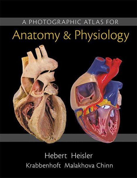 Nora Hebert: Photographic Atlas for Anatomy &amp; Physiology, A, Buch