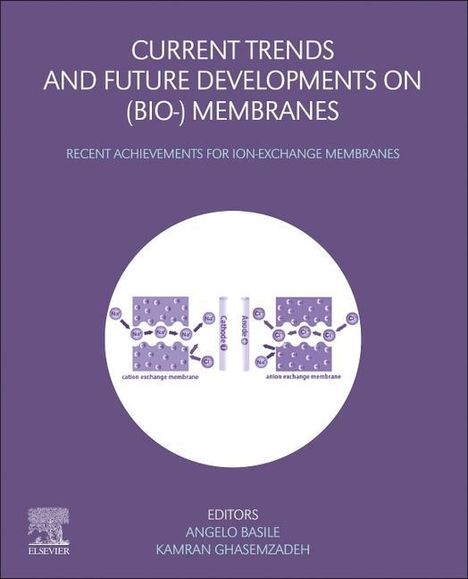 Current Trends and Future Developments on (Bio-) Membranes: Recent Achievements for Ion-Exchange Membranes, Buch