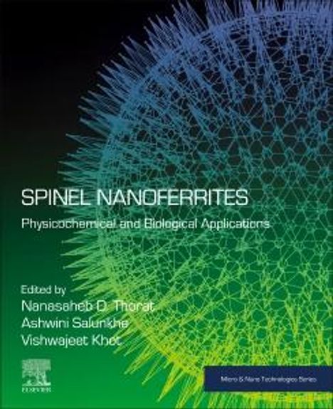 Spinel Nanoferrites, Buch