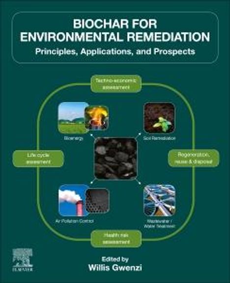 Biochar for Environmental Remediation, Buch