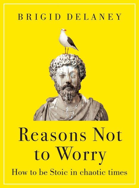 Brigid Delaney: Reasons Not to Worry, Buch
