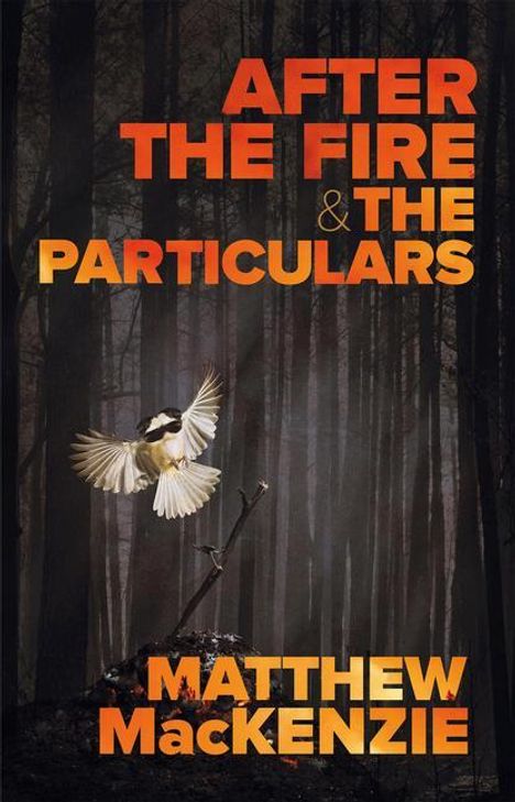 Matthew MacKenzie: After the Fire &amp; the Particulars, Buch