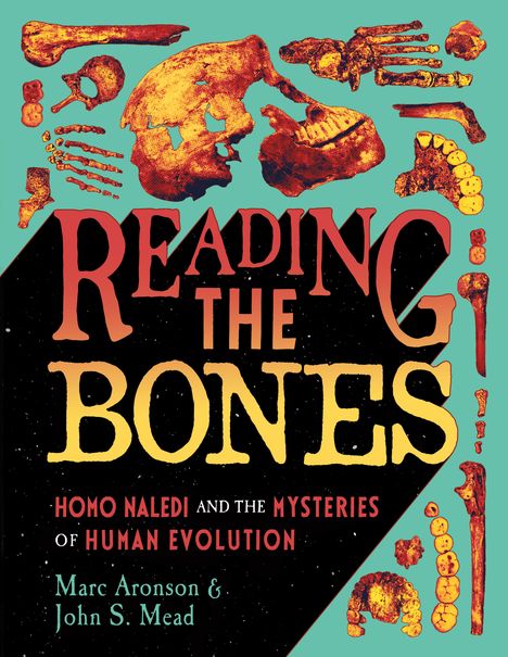 "Reading the Bones: Homo Naledi and the Mysteries of Human Evolution" von Marc Aronson & John S. Mead. Skelettillustration.