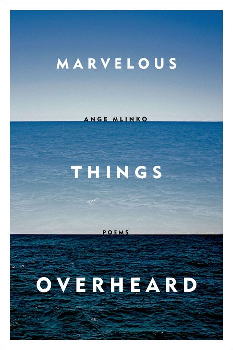 Ange Mlinko: Marvelous Things Overheard, Buch