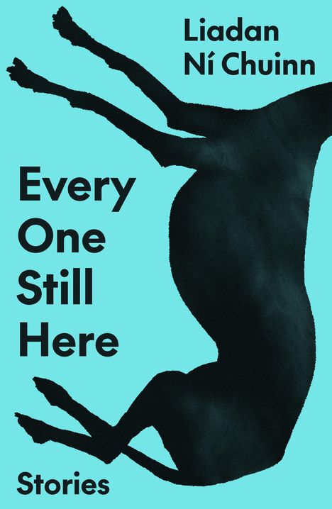 Liadan Ní Chuinn: Every One Still Here, Buch