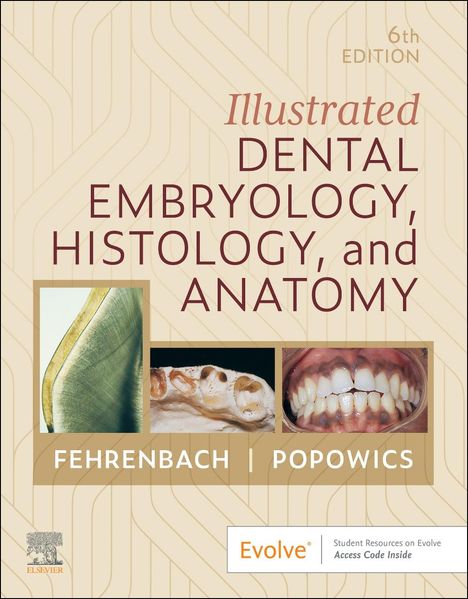 Margaret J Fehrenbach: Illustrated Dental Embryology, Histology, and Anatomy, Buch