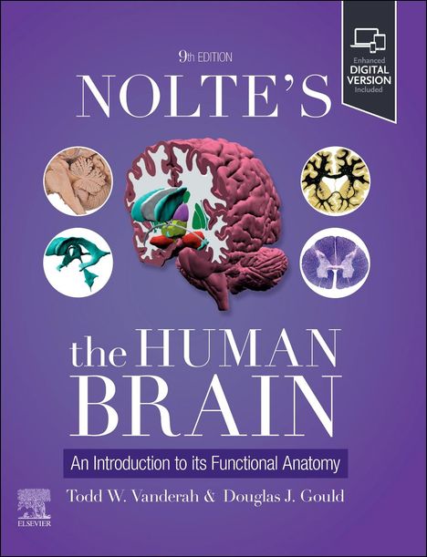 Todd W Vanderah: Nolte's the Human Brain, Buch