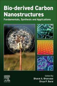 Bio-Derived Carbon Nanostructures, Buch