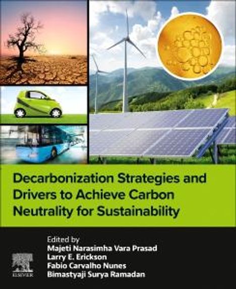 Decarbonization Strategies and Drivers to Achieve Carbon Neu, Buch