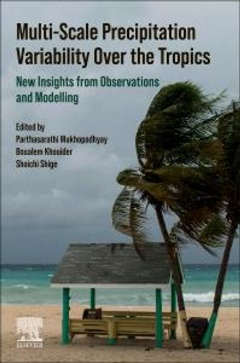 Multi-Scale Precipitation Variability Over the Tropics, Buch