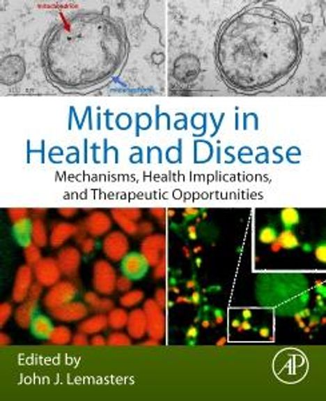 Mitophagy in Health and Disease, Buch