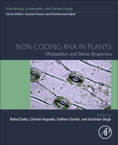 Non-Coding RNA in Plants, Buch