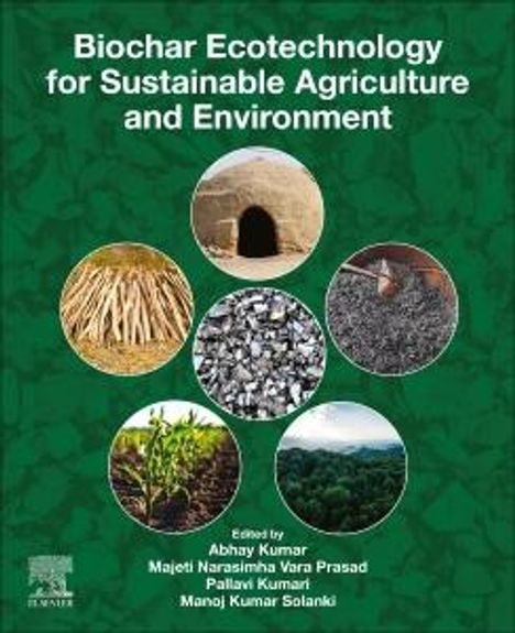 Biochar Ecotechnology for Sustainable Agriculture and Environment, Buch