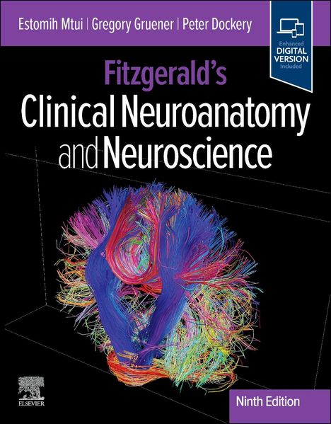 "Fitzgerald’s Clinical Neuroanatomy and Neuroscience, Ninth Edition" in bunter Faser-Darstellung des Gehirns.