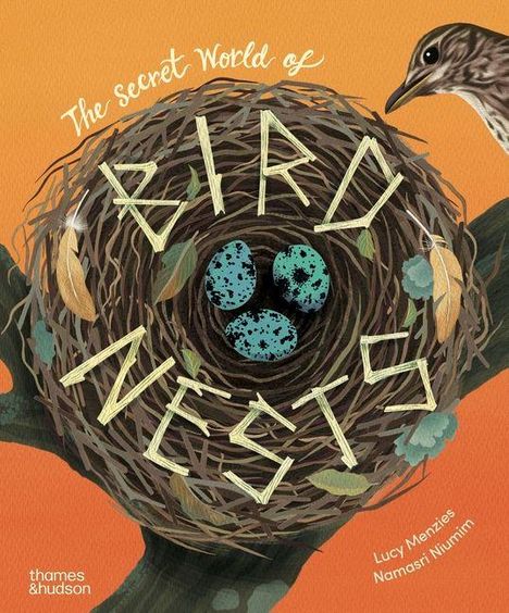 "the secret World of BIRD NESTS" im Bild oben in Blättern und Ästen, darunter drei gefleckte Eier und ein Vogelkopf.