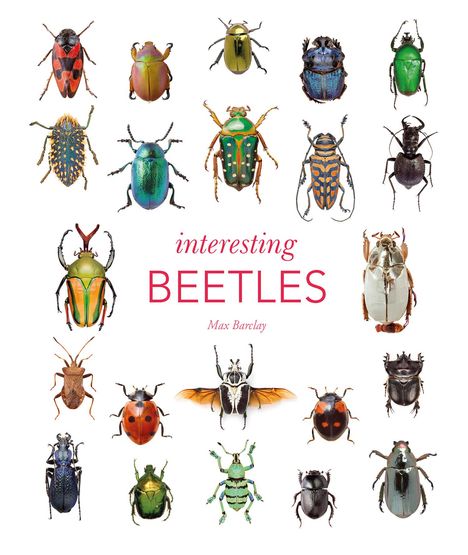 Max Barclay: Interesting Beetles, Buch