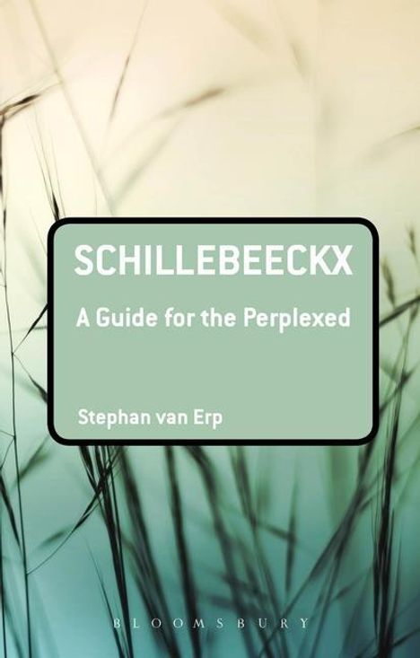 Stephan van Erp: Schillebeeckx: A Guide for the Perplexed, Buch