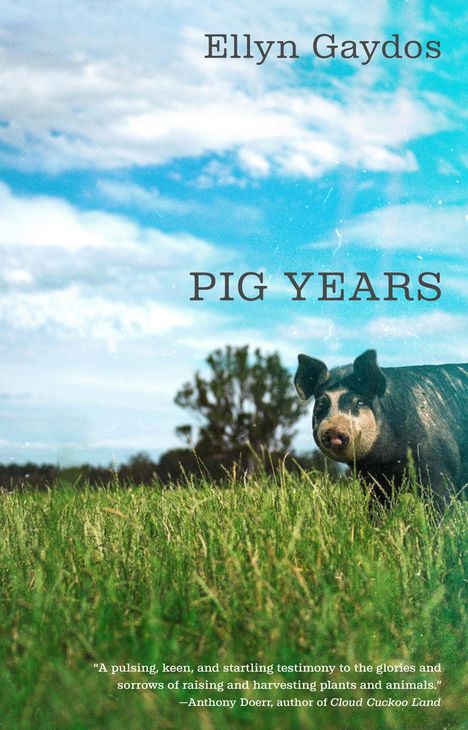 Ellyn Gaydos: Pig Years, Buch