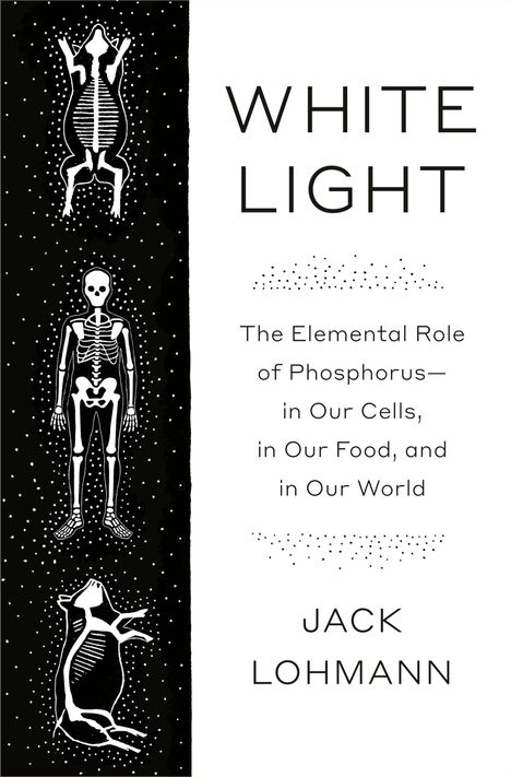 Jack Lohmann: White Light, Buch