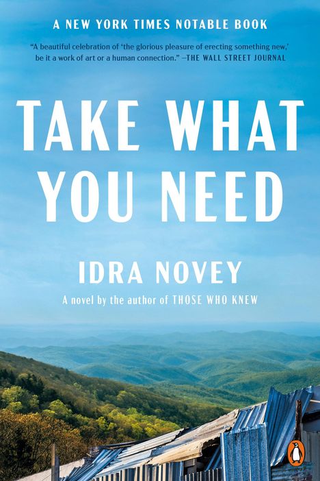 Idra Novey: Take What You Need, Buch