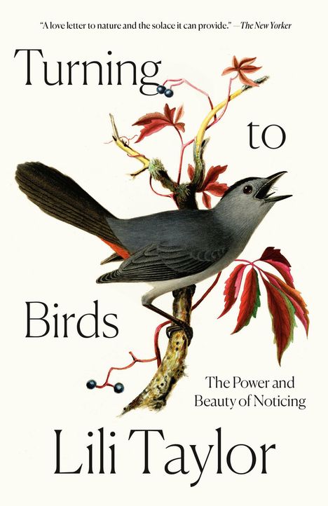 „Turning to Birds“ von Lili Taylor. Illustration eines Vogels auf einem Ast mit roten und grünen Blättern.