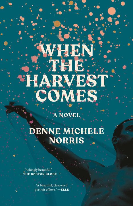 "When the Harvest Comes", ein Roman von Denne Michele Norris, dunkler Hintergrund mit bunten Spritzern und einem Mann.