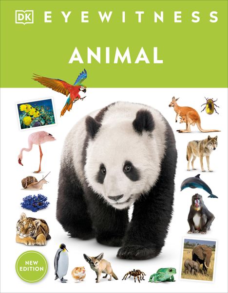 Dk: Eyewitness Animal, Buch