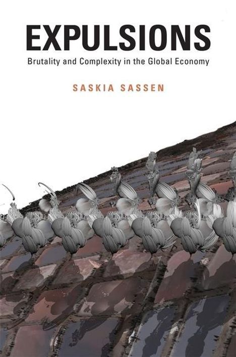 Saskia Sassen: Expulsions, Buch