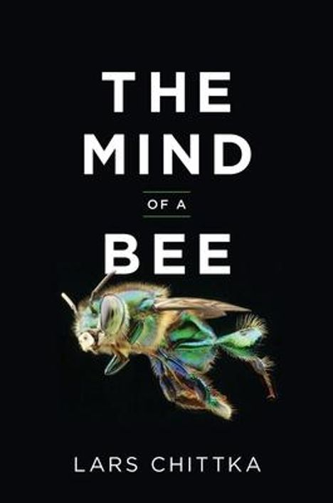 Lars Chittka: The Mind of a Bee, Buch