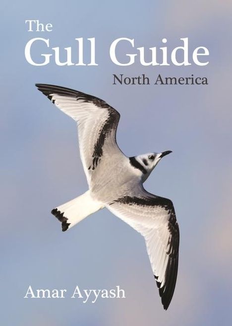 Amar Ayyash: The Gull Guide, Buch