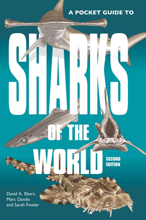 David A Ebert: A Pocket Guide to Sharks of the World, Buch