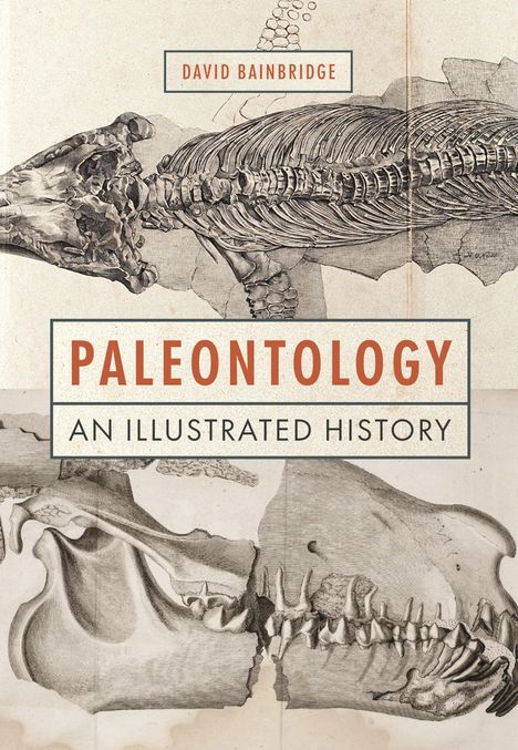 David Bainbridge: Paleontology, Buch