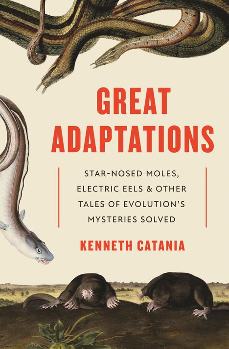 Kenneth Catania: Great Adaptations, Buch