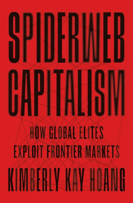 Kimberly Kay Hoang: Spiderweb Capitalism, Buch