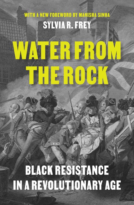 Sylvia R. Frey: Water from the Rock, Buch