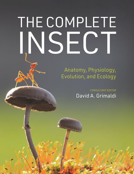 The Complete Insect, Buch